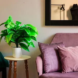 The Tropical House Apartment